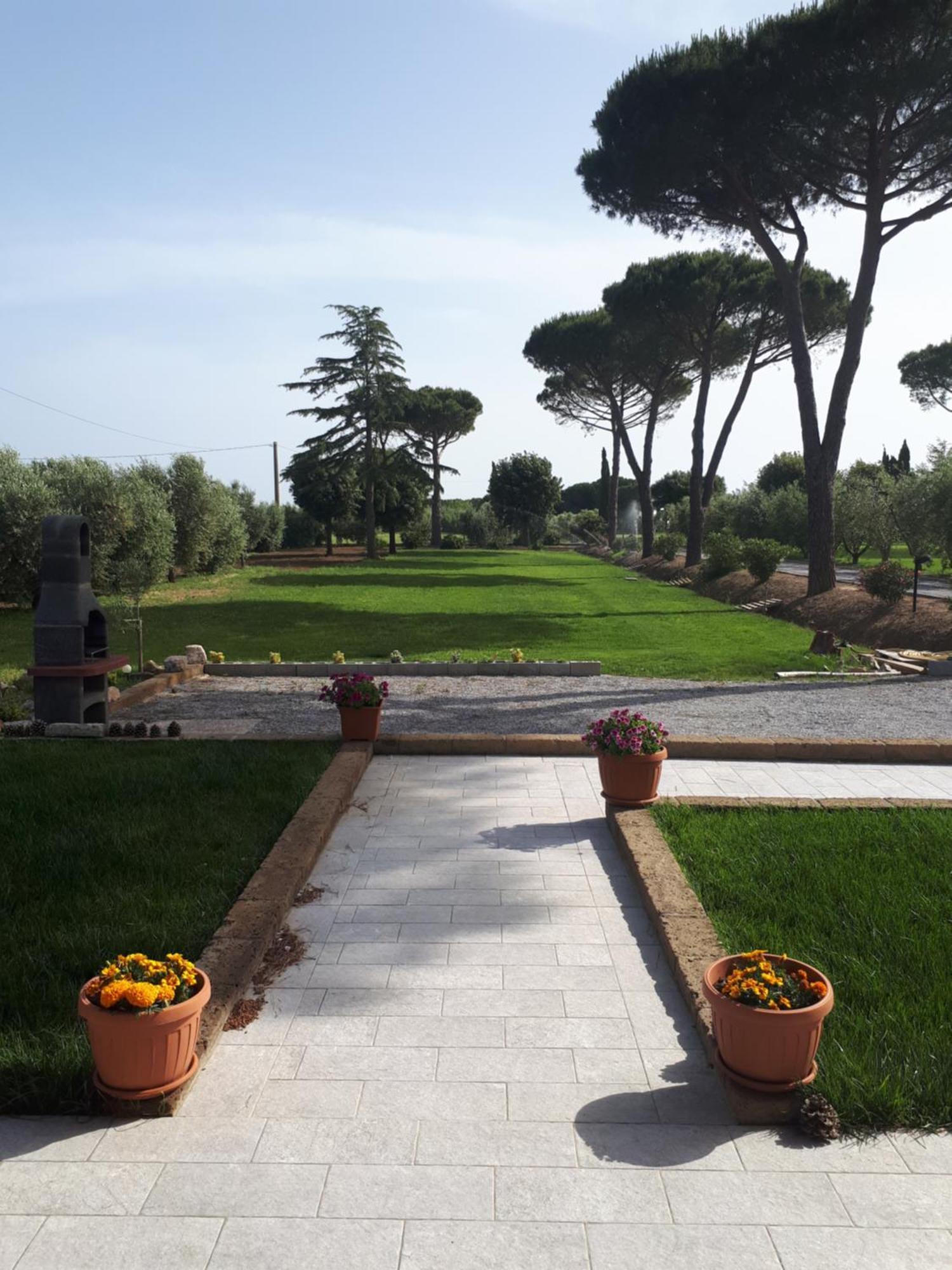 Agriturismo Nonno Gino - Charme&Relax Piombino Eksteriør billede