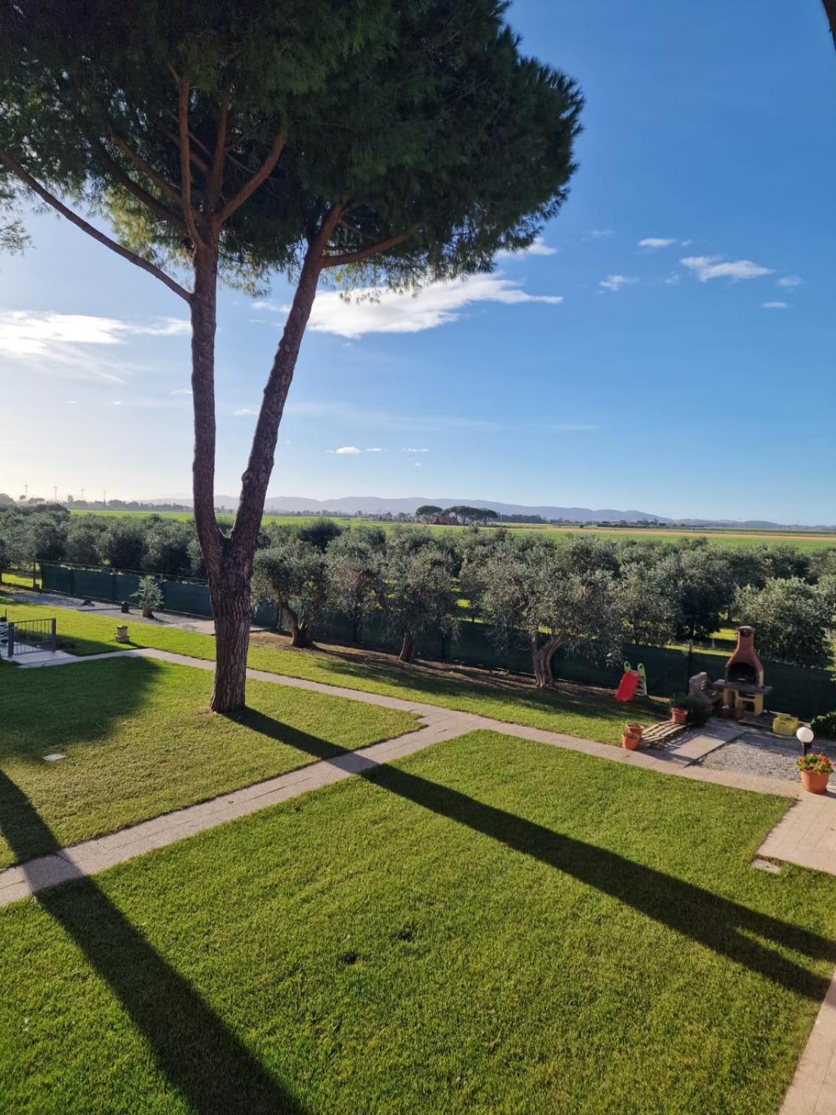 Agriturismo Nonno Gino - Charme&Relax Piombino Eksteriør billede
