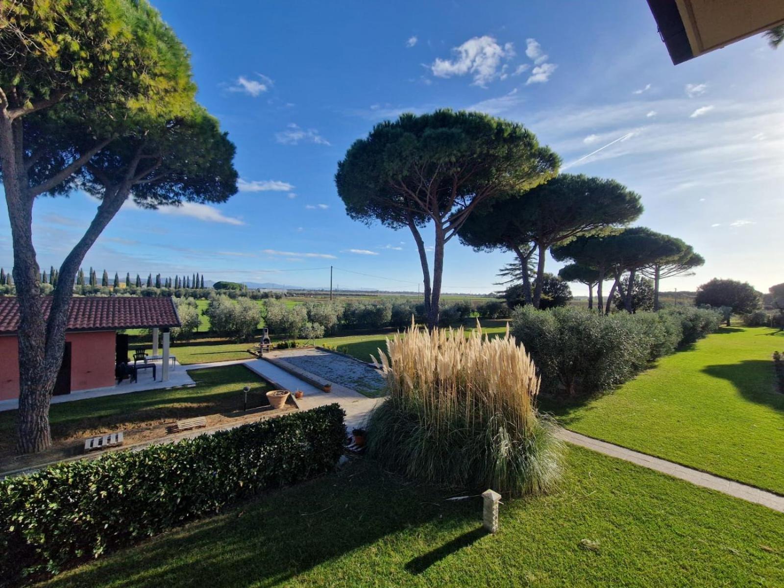 Agriturismo Nonno Gino - Charme&Relax Piombino Eksteriør billede